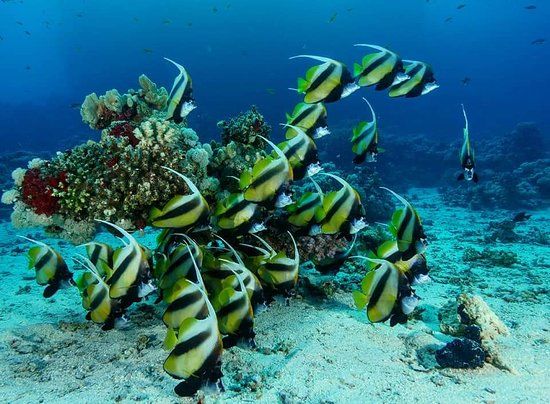 Pigeon Island National Park